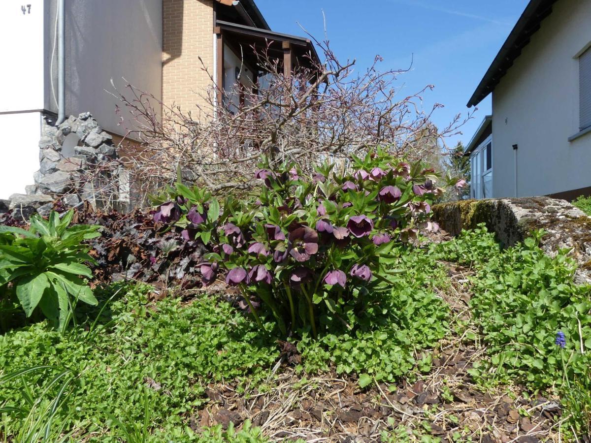 Ferienwohnung Schanbacher Oberzent Esterno foto
